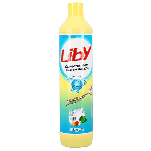     LIBY  500  141