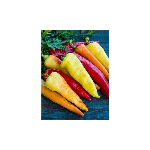   Sweet Banana (. Capsicum annuum Sweet Banana)  5 460