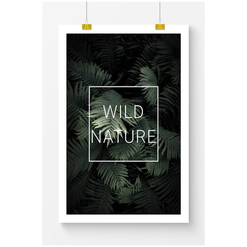       Postermarkt Wild nature,  4050 ,      ,  1169  POSTERMARKT