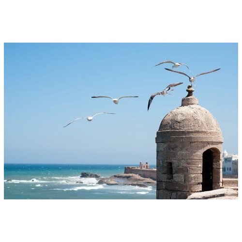 ������ �� ������ ����� � ������ (Seagulls at coast) 45��. x 30��. 1340�