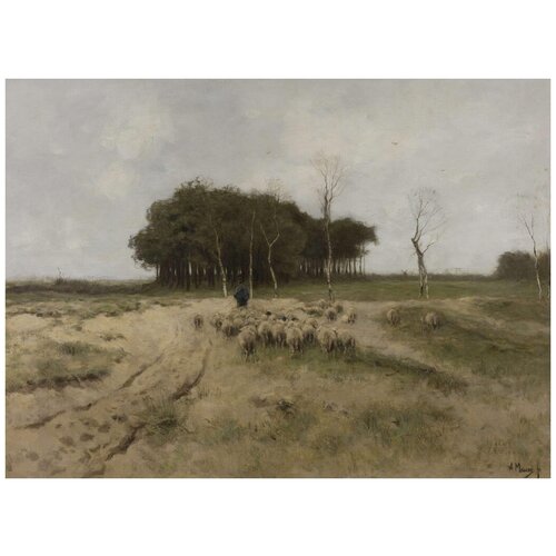 ����������� �� ������ �� ������� ����� ������ ����� ����� 41��. x 30��. 1260�