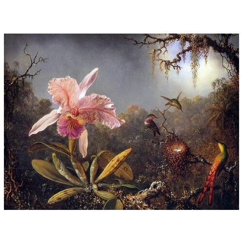         (Cattleya Orchid and Three Brazilian Hummingbirds)    67. x 50.,  2470   