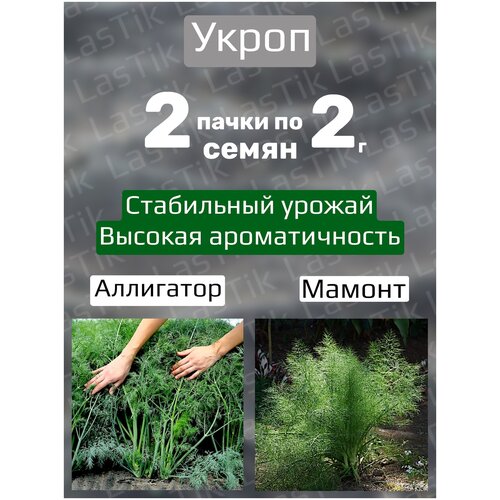 Укроп Аллигатор 2 пакета по 2г семян 225р