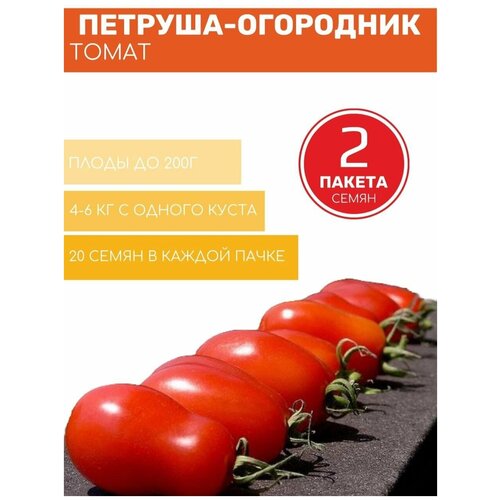 Томат Петруша-Огородник 2 пакета по 20шт семян 270р