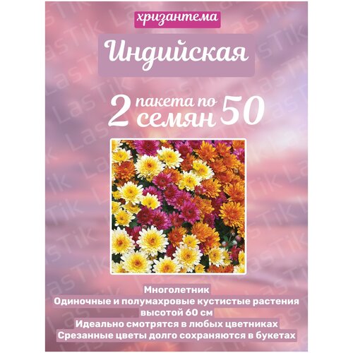 Цветы Хризантема индийская Индикум смесь 2 пакета по 50шт семян 236р