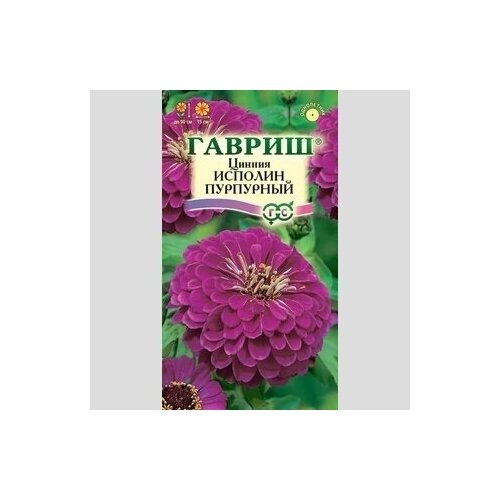 Семена цветы Цинния Исполин пурпурный -3 упак. 25р