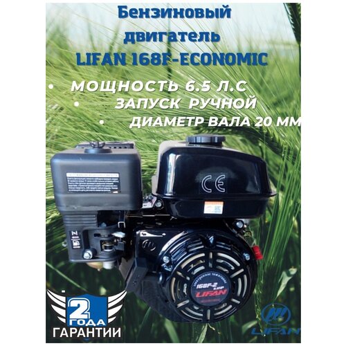 Lifan  168F-2 Eco D20 00-00004822 . 14448