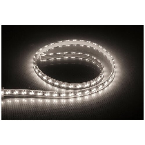 C LED  Feron LS705, 120SMD(5730)/ 11/ 50 IP65 220V 3000K 321