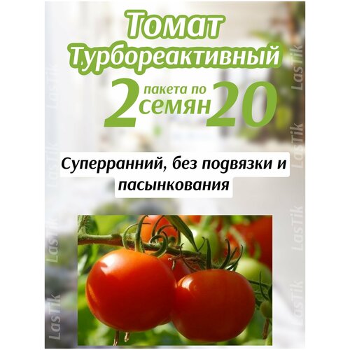 Томат Турбореактивный 2 пакета по 20шт семян 243р