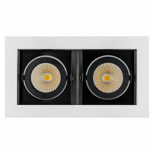  CL-KARDAN-S180x102-2x9W Day (WH-BK, 38 deg) (Arlight, IP20 , 3 ) 6890