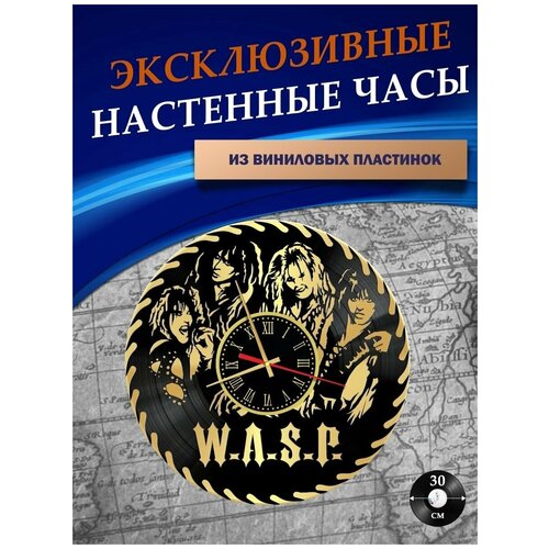       - WASP ( ),  973  SMDES