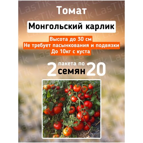 Томат Монгольский карлик 2 пакета по 20шт семян 325р