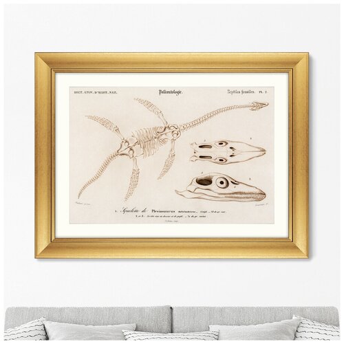 ����������� ������� � ���� Plesiosaurus, 1849�. ������ �������: 60,5�80,5�� 16299�