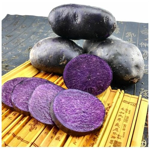 Семена Картофель фиолетовый, редчайший (Гурман) 5 шт. 500р