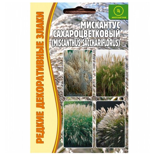    (Miscanthus Sacchariflorus) (0,1 ) 220