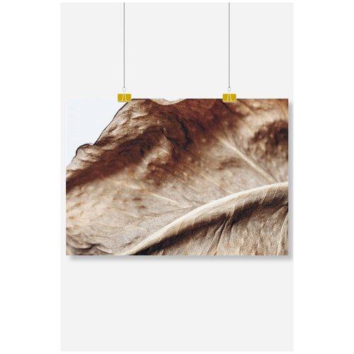 ������ �� ����� ��� ��������� Postermarkt ���������� ����, ������ 40�50 ��, ������� ������� ��� ��������� � ������ 1169�