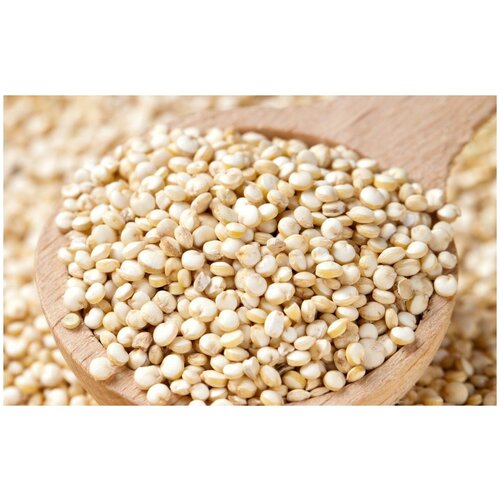 Киноа белая (лат. Chenopodium quinoa) семена 250шт 320р