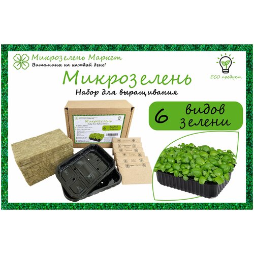 Набор для выращивания микрозелени ВСЕ включено 6 видов / Капуста, Редис, Рукола, Дайкон, Кресс-Салат, Горох 655р