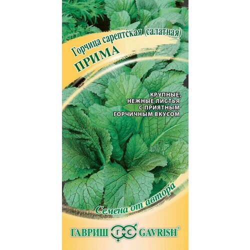 Горчица сарепская (салатная) Прима 1 грамм семян Гавриш 650р