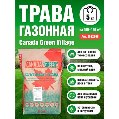 Газонная трава семена Канада Грин Дачный Village 5 кг/ мятлик, райграс, овсяница семена для газона 1433р