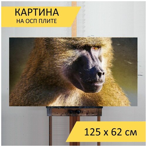 ������� �� ��� 