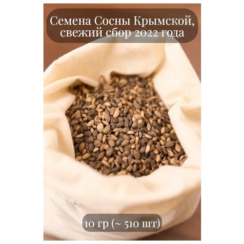Семена Сосны крымской, или Сосны Палласа 575р