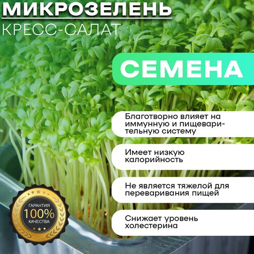 Полный набор для выращивания микрозелени Кресс-салат 153р
