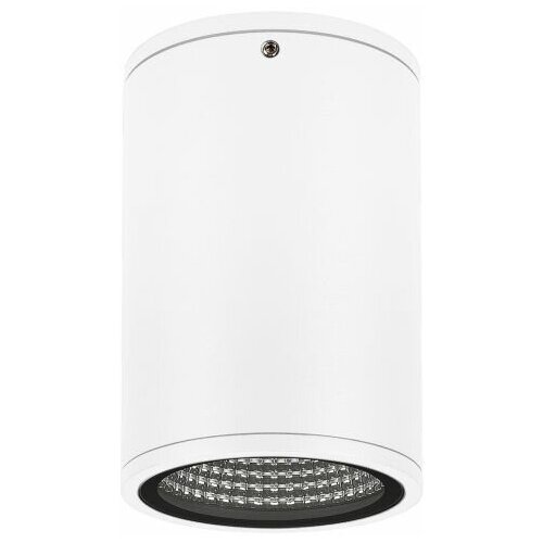 Arlight  LGD-FORMA-SURFACE-R90-12W Day4000 (WH, 44 deg, 230V) (Arlight, IP54 ) 037259 9844