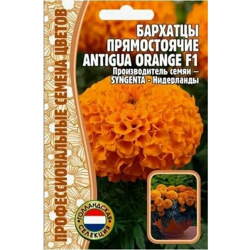 Бархатцы прямостоячие Antigua Orange F1 5 шт х 1 упаковка /Редкие растения 285р