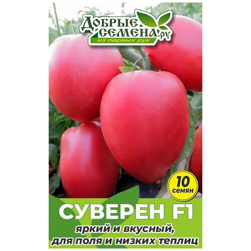 Семена томата Суверен F1 - 10 шт - Добрые Семена.ру 144р