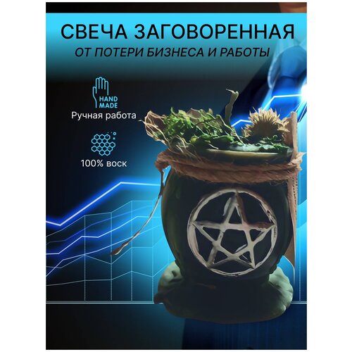 ����� ����������� Mandragora,