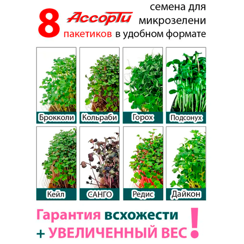 Набор Ассорти №3 семена микрозелени для выращивания дома с инструкцией 327р