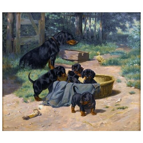        (Witte and her puppies)   35. x 30. 1120