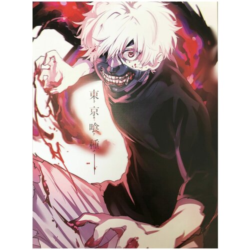   /    / Tokyo Ghoul ver.2 42x29  8 . 450