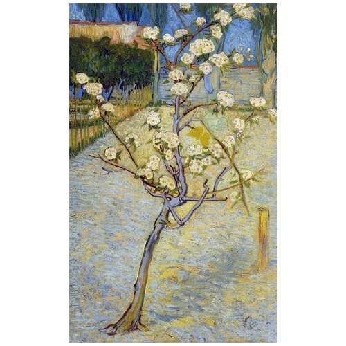        (Pear Tree in Blossom)    40. x 65. 2070