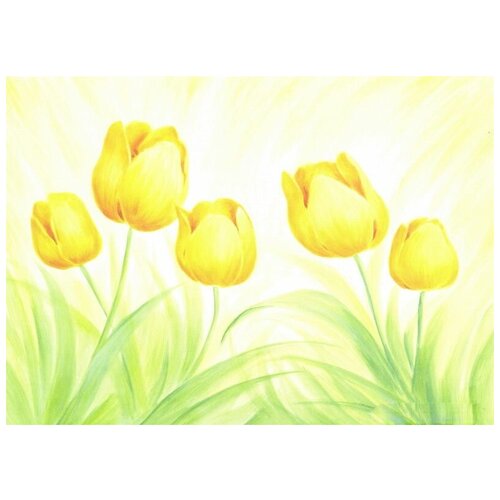   (Tulips) 7 70. x 50. 2540