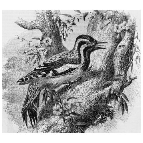       (Bird on a tree) 45. x 40. 1590