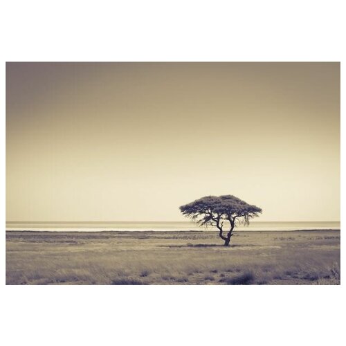       (Tree in Africa) 4 60. x 40. 1950