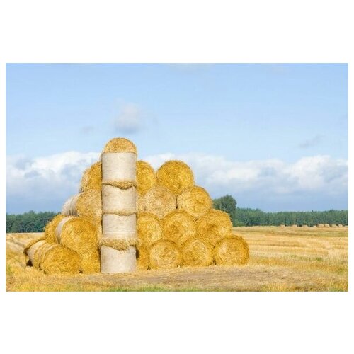        (Haystack on the field) 2 45. x 30. 1340