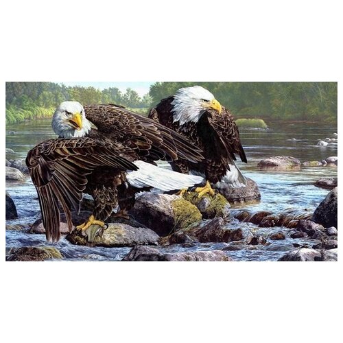     (The Eagles) 1 74. x 40. 2310