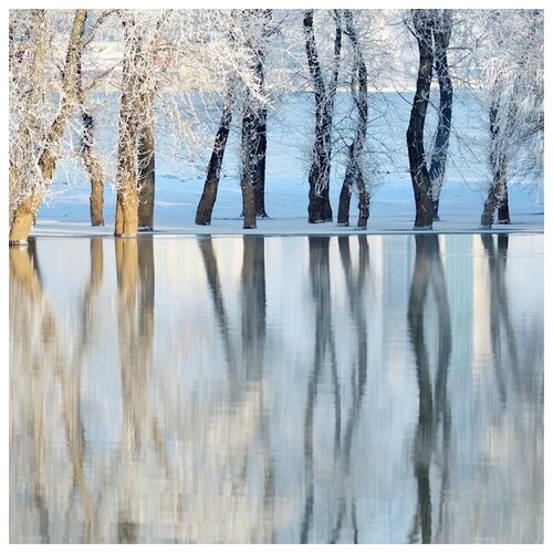        (Trees reflecting in the water) 60. x 60. 2570