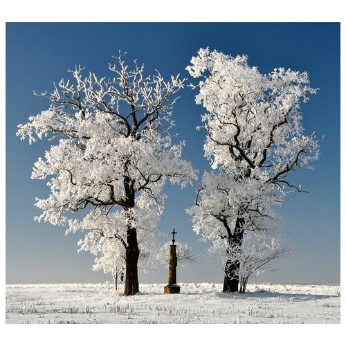      (Snow-covered trees) 1 44. x 40. 1580