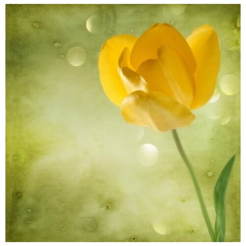      (Yellow flower) 4 60. x 61. 2610