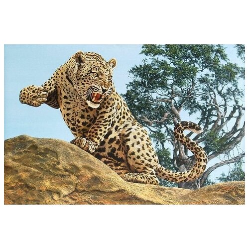     (Leopard) 7 60. x 40. 1950
