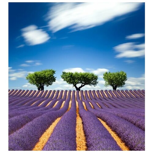      (Lavender field) 2 60. x 65. 2720