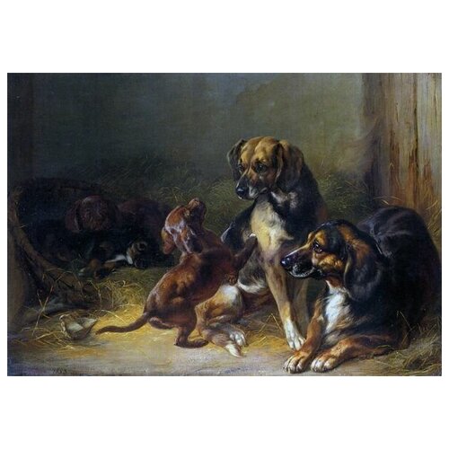     (Dogs and Whelps)   43. x 30. 1290