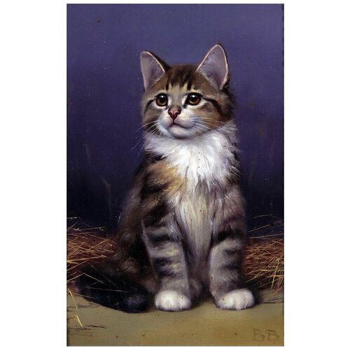     (Kitten) 3   40. x 63. 2050