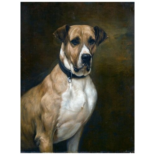     (Dog) 1 40. x 53. 1800