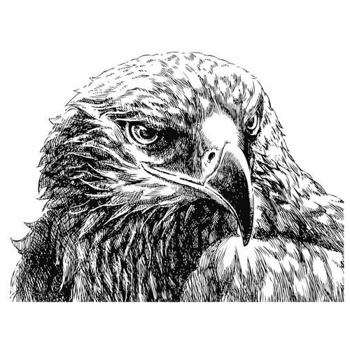     (Eagle) 3 37. x 30. 1190