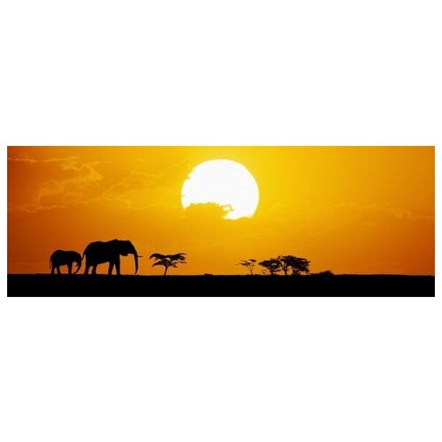       (Elephants in Africa) 85. x 30. 2190